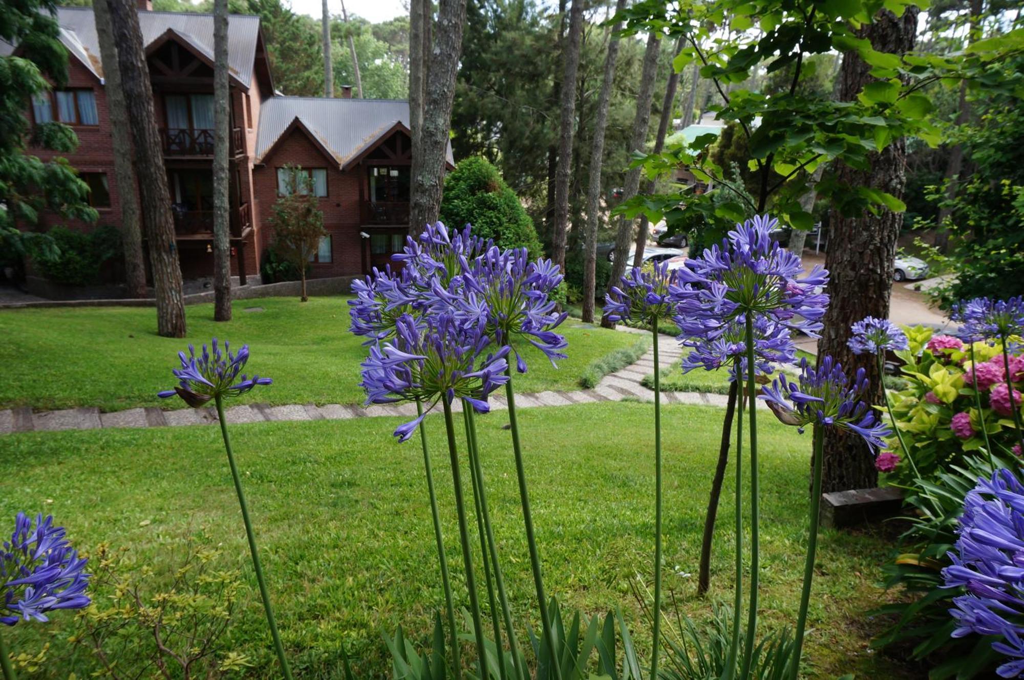Refugio Del Bosque Villa Carilo Eksteriør bilde
